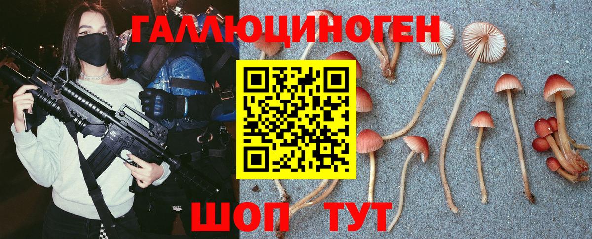 Галлюциногенные грибы Psilocybe Великий Новгород