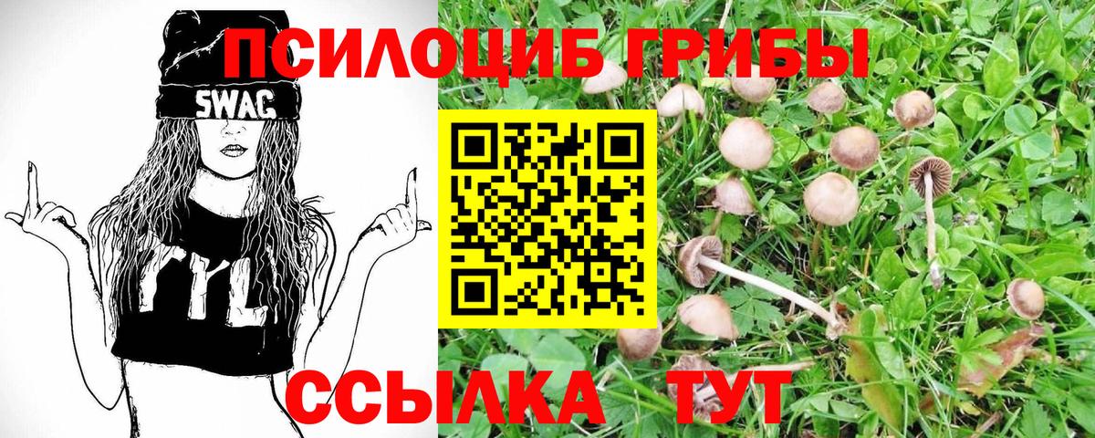 Великий Новгород  Псилоцибиновые грибы GOLDEN TEACHER  Галлюциногенные грибы Magic Shrooms  Вход с VPN 